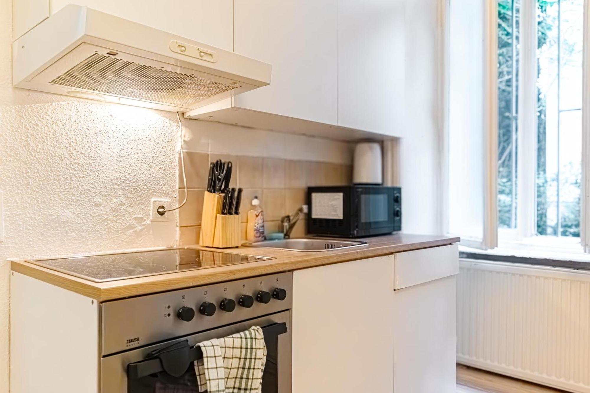 Apartament Chic - Very And Well Connected Viena